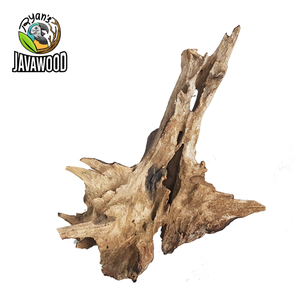 Meilleure qualité bonsaï couronne en bois Aquarium naturel pour la décoration d'aquarium du centre Java indonésie - Product Image 1