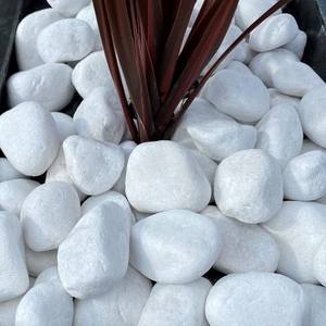 หินกรวดธรรมชาติ,หินกรวดสีขาวหิมะสำหรับการจัดสวนกลางแจ้ง - Product Image 3