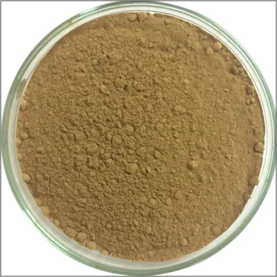 Worthbuy — extrait de baies de goosse indien, plante Amla de haute qualité, phyllanthe ingca