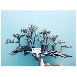 2023 Neues Design Großer Bonsai-Baum Treibholz Aquarium Diskus Aquarium Zubehör WhatsApp: 84 961005832