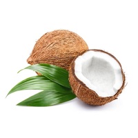 Hoge kwaliteit verse rijpe kokosnoot bruin zoet water half-ontdoppen Graad A&B GMO export Bangladesh CTC Fytosanitaire 12-15 500-750
