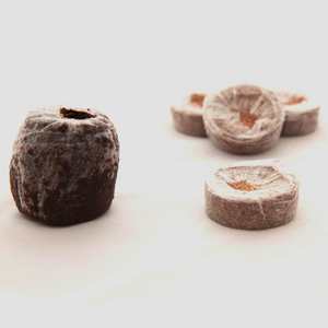 Granos de coco natural para semillas de guardería, peines de coco, precio de fábrica de Vietnam más bajo - Product Image 2