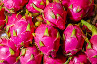 100% Natuurlijke Verse Dragon Fruit Wit & Rood Aanpasbare Maten Graad 1 500-800g HACCP Gecertificeerd Vietnam Viet Delta//NICKY