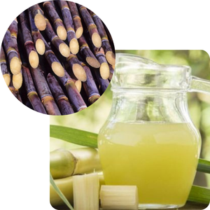 Caña de azúcar congelada/Fruta Caña de azúcar congelada saludable en Vietnam / Shyn Tran - Product Image 1