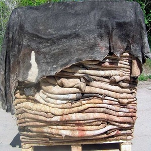 Dry Salted Cow Hides / Raw Salted Cow Hides