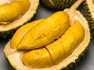 Durian Monthong Orgánico Congelado de Vietnam, Fruta de Durian Congelada IQF, 99 Gold Data - Product Image 5