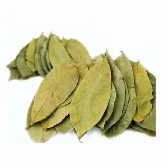 SOURSOP LEAVES DRIED SOURSOP LEAVES MARY