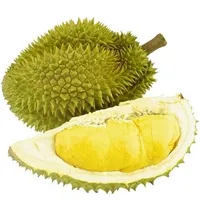 FROZEN Monthong Natural VIET NAM DURIAN 1 Grade Fresh 18 kg with ISO Certification