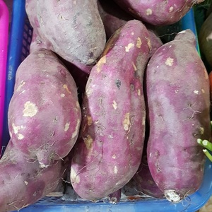 Batata Amarilla y Roja de Vietnam en Cubos y Rodajas, Fresca, de Primera Calidad, Envasada al Vacío, Personalizable, Congelada, Frita (LQF) - Product Image 2