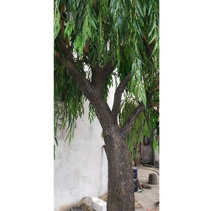 Arbre artificiel en saule pleureur vert d'intérieur sur mesure de 400 cm de hauteur, grand arbre artificiel en fibre de verre - Product Image 2