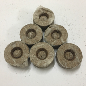 Pépinière écologique de qualité supérieure en fibre de coco pure, graines de noix de coco, faible coût d'expédition - Product Image 5