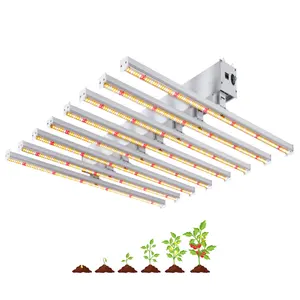 Wholesale led grow light 600W high Power Consumption indoor vertical farming System horticulture lettuce hydroponic