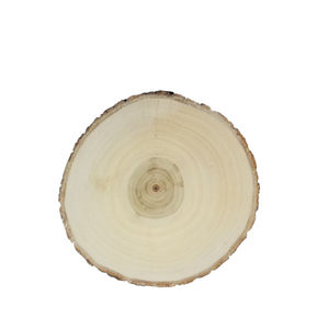Tranches de bûches en bois <span class=keywords><strong>avec</strong></span> écorce pour bases d'isolation thermique Pièces de bois vierges pour créations artistiques et décorations - Product Image 1
