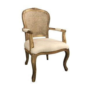 Chaise de salle à manger industrielle vintage en apatite, construction en fer durable, bois de manguier, tissu en toile, meubles pour appartement, maison, hôtel - Product Image 1