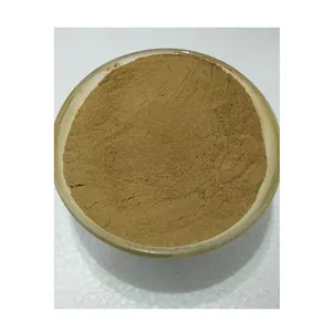 Polvere di estratto di Gingko Biloba puro al 100% di alta qualità all'ingrosso di alta qualità per acquirenti all'ingrosso