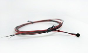Sensor de Temperatura RTD de Acero Inoxidable de 1.0 mm con Cable y Longitud de Sonda Personalizados para Aplicaciones en Productos Lácteos y Alimentos - Product Image 2