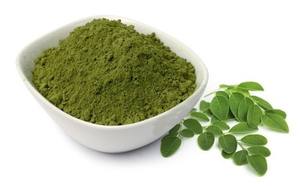 Polvo de Moringa Oleifera al mejor precio y alta calidad Vietnam - Product Image 2