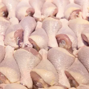 Frozen Brasil Halal chicken Meat /Frozen / Processed Chicken Feet / Paws / Claws at very affordable prices anmd
