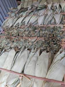 Feuilles de bambou brutes, écologiques, bon prix - Product Image 5