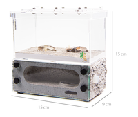 Fourmilière en plastique écologique et peu encombrante 15x9x15cm, modèle classique pour la décoration de chambre