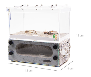 Nido de formicario de hormiga de plástico ecológico que ahorra espacio para decoración de dormitorio - Product Image 3