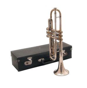 Fundas ETRO luminiscentes de diferentes tamaños, accesorio de iluminación de alta calidad, resistente al agua - Product Image 2