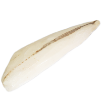 Fruits de mer surgelés IQF de qualité supérieure, Xiphias Gladius, provenant de Côte d'Ivoire, certifiés HACCP, grade A, nutritifs et issus de poissons sauvages