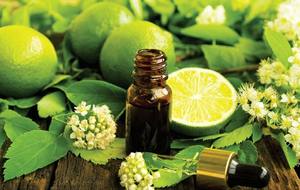 Aceite Esencial de Árbol de Té y Lima, Prensado en Frío, Certificado GMP, Set de Regalo Purificador de Aire para Masajes, Aromaterapia, Mejora la Luminosidad de la Piel - Product Image 5