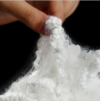 Offre Spéciale 7D * 64mm HCS RECYCLÉ de polyester siliconée conjuguée creuse pour le remplissage