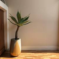 Pot de fleurs moderne en fibre-ciment, peinture lisse, motif noir, pour petit jardin de plantes succulentes