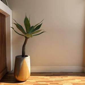 Pot de fleurs moderne en fibre-ciment, peinture lisse, motif noir, pour petit jardin de plantes succulentes - Product Image 4