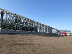 ร้อนขายแคนาดาก่อสร้างโครงสร้างเหล็กยาว-Span โครงสร้างเหล็กอาคาร/COW Shed - Product Image 4