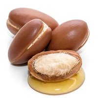 Huile de support d'argan marocaine pressée à froid, certifiée GMP, en forme liquide, extraite des graines
