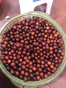 SUPPLIER <b>WOODEN</b> <b>BEADS</b> LOOSE <b>BEADS</b> FROM VIETNAM CHEAP PRICE - Product Image 2