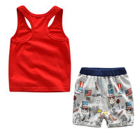 Conjunto de Ropa de Verano y Primavera para Niños, 100% Algodón, Camiseta de Manga Corta para Bebé, Estampado Informal, Color Personalizable, Servicio OEM