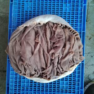 2025 Omasum de boeuf salé sec de qualité supérieure à faible coût pour l'exportation, prêt à être fourni à un prix abordable depuis l'Europe. - Product Image 3