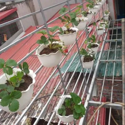 [Hot Deal] Muur En Hek Hangende Plantenbakken, Buiten Half Ronde Hars Bloempotten Voor Kamerplanten Kruiden Balkon Veranda