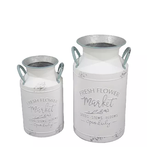 Ensemble de deux conteneurs plastiques de jardin, conteneur métallique galvanisé, creux - Product Image 1