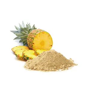 Estratto naturale di frutta in polvere di ananas di origine prodotto in Vietnam 2023