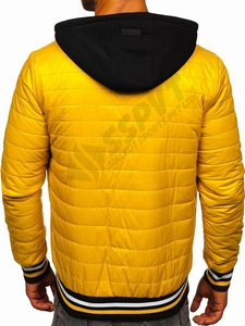 Bomber de vol classique et confortable avec motif de broderie, vêtement pour femmes et hommes, imperméable, CAMOUFLAGE, métal - Product Image 3
