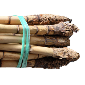 Venta al por mayor 3M 4m Natural Anti-Termitas Material de caña de ratán crudo pulido Parte de raíz seca para muebles de estilo SE Asia - Product Image 3