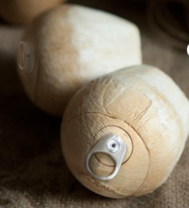 JEUNE NOIX DE COCO FRAIS DU VIETNAM - Product Image 2