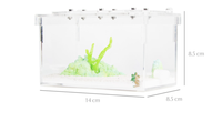 Nouvelle promotion : cage de transport pour reptiles en plastique écologique de petite taille