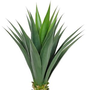 Planta de cáñamo de sisal natural de China, decoración <span class=keywords><strong>interior</strong></span> de hojas grandes, plantas artificiales de plástico, venta al por mayor - Product Image 5