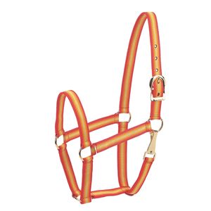 Halter de caballo económico - Product Image 1