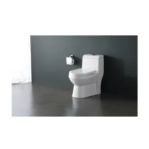 Thiết Bị Vệ Sinh Bằng Sứ, Bộ Toilet Phòng Tắm