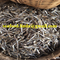 Anchois argentés surgelés IQF, poisson de mer de qualité supérieure, export Nafi pour le marché européen (Anchois) - Emballage en sacs