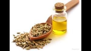 Aceite Esencial de Semilla de Hinojo 100% Puro de Alta Calidad, Destilado al Vapor, Origen Austria, Suministro OEM, Botella de 10ml 30ml 100ml, Certificado GMP, Reafirmante - Product Image 6