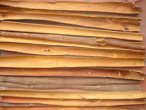 Split Cassia Séché AD Raw Premium Qualité Kpro Marque De YenBai Vietnam Prix Raisonnable - Product Image 5