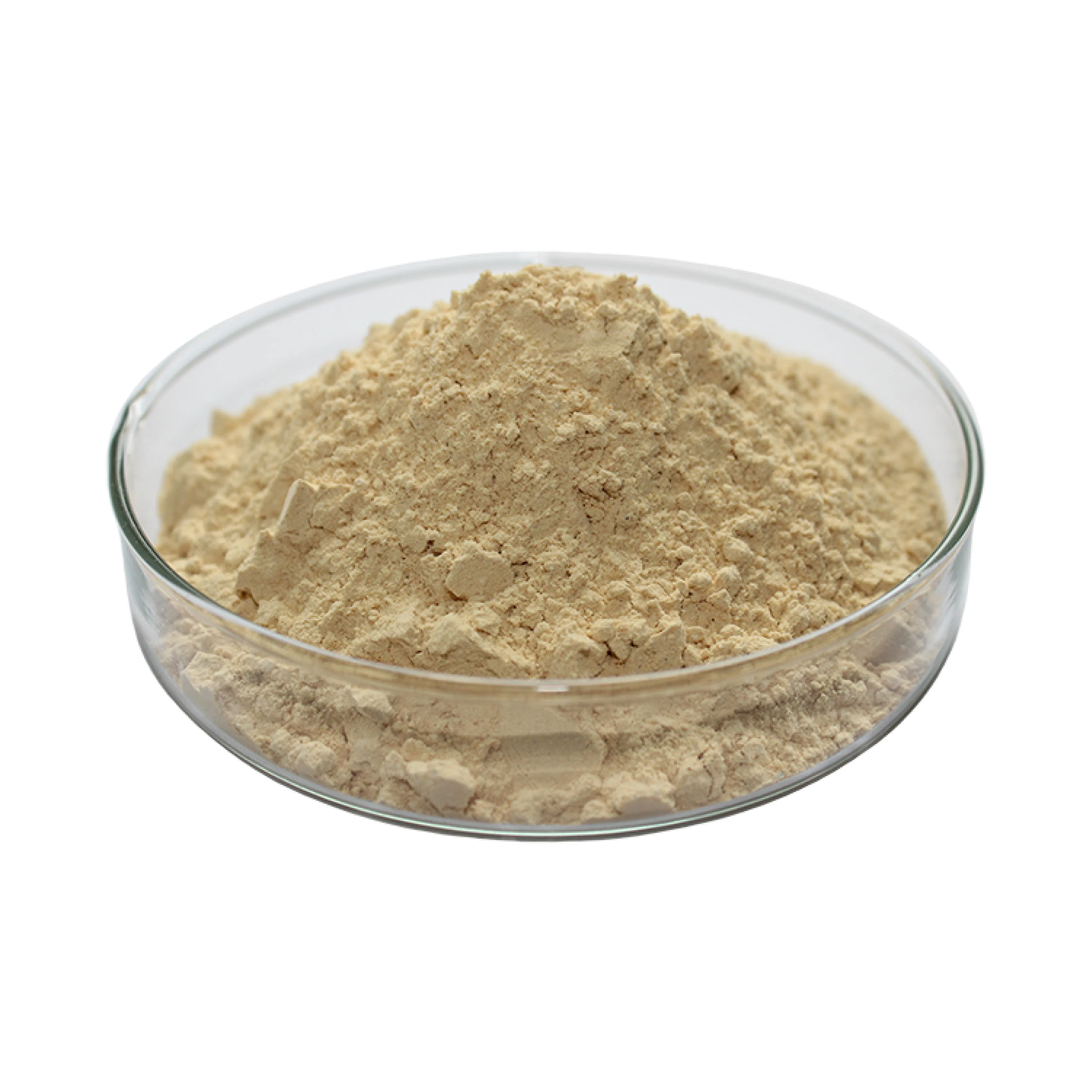 Organic Ginger Powder USDA & EU Organic Certified Premium Ginger Root Powder Wholesale From Thailand Ginger Powder